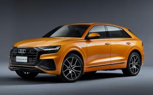 Audi Q8 55 TFSI Quattro S-Line 2019 года (CN)